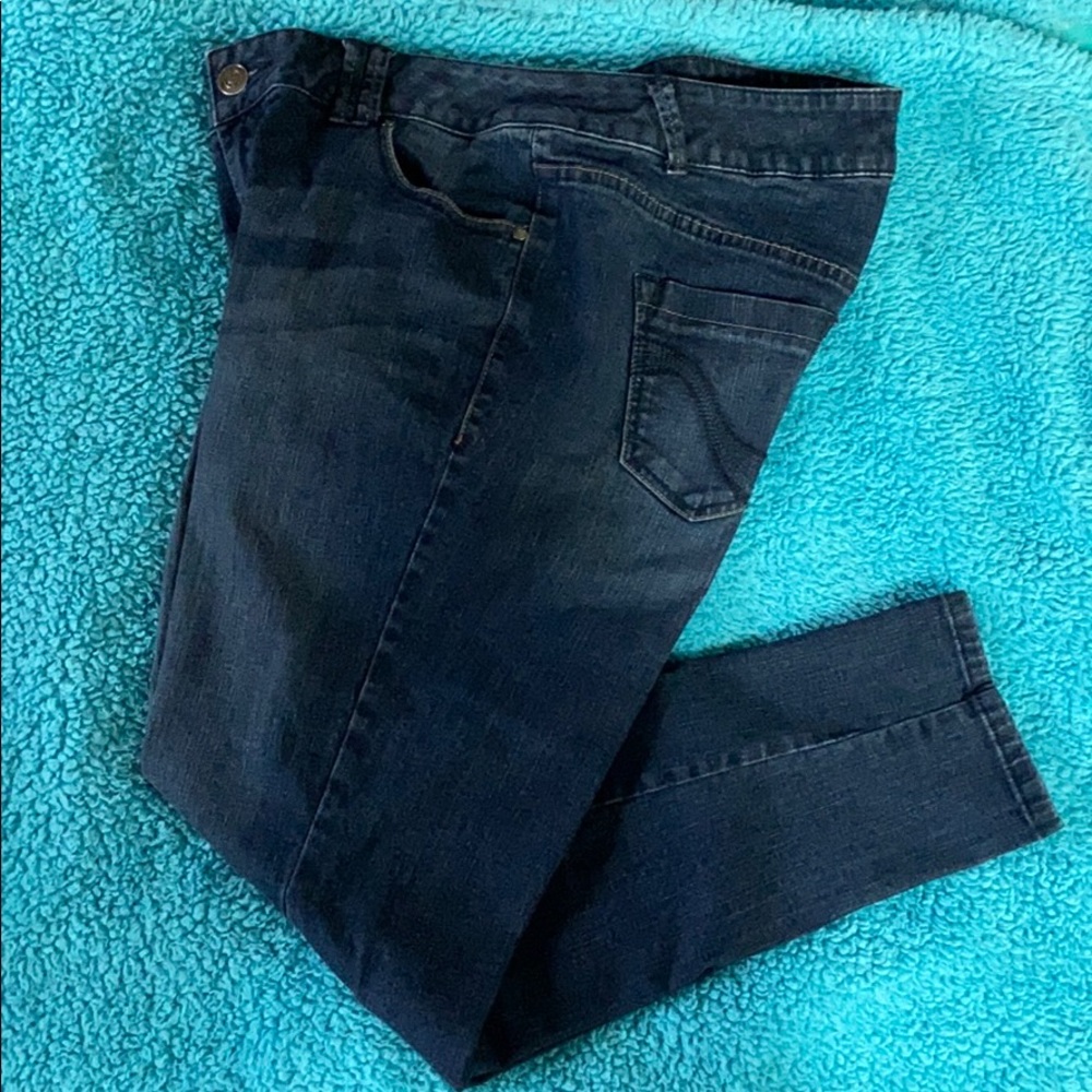Lane Bryant Genius Fit Jeggings